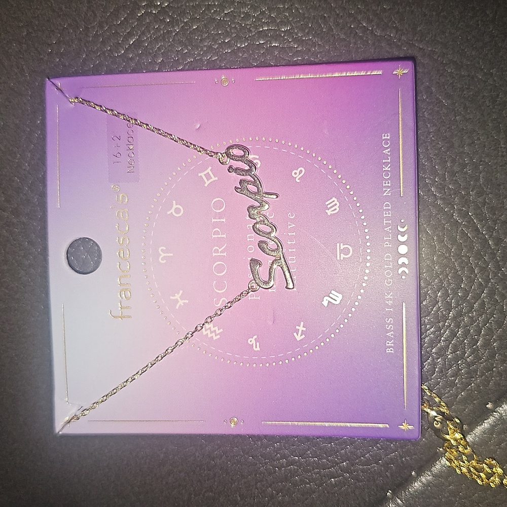 Scorpio necklace